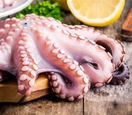 seastar-raw-octopus.jpg