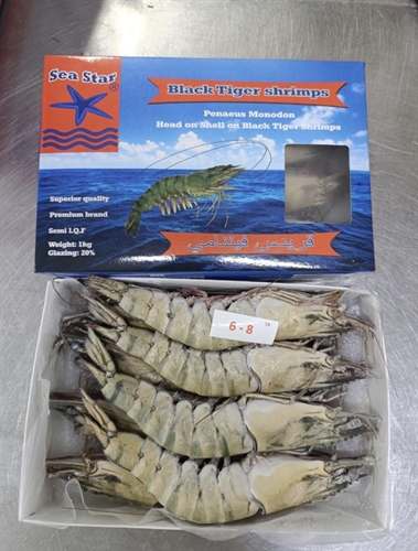 seastar-black-tiger-shrimps-hoso.jpg