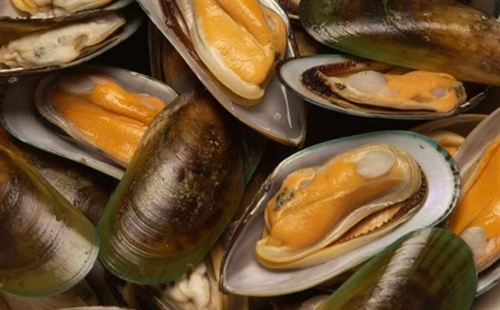 seastar-green-halfshell-mussel.jpg