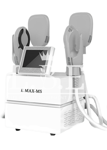 e-max-ms.png