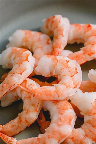 shrimp.jpeg