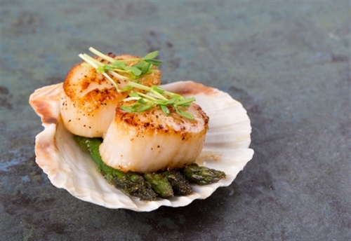 frozen-scallops.jpg